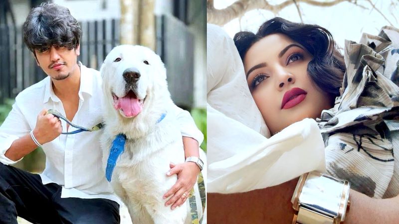 পরীমণির ছবির যুবকটি শেখ সাদী! হাতঘড়িতে হুবহু মিল পেলেন ভক্তরা